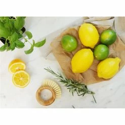 Full Circle The Ring Veggie Brush -Cheap Kitchen Cleaning Store DKS 28830 3